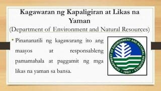 ano ang department of environment and natural resources|Kagawaran ng Kapaligiran at Likas na Yaman .
